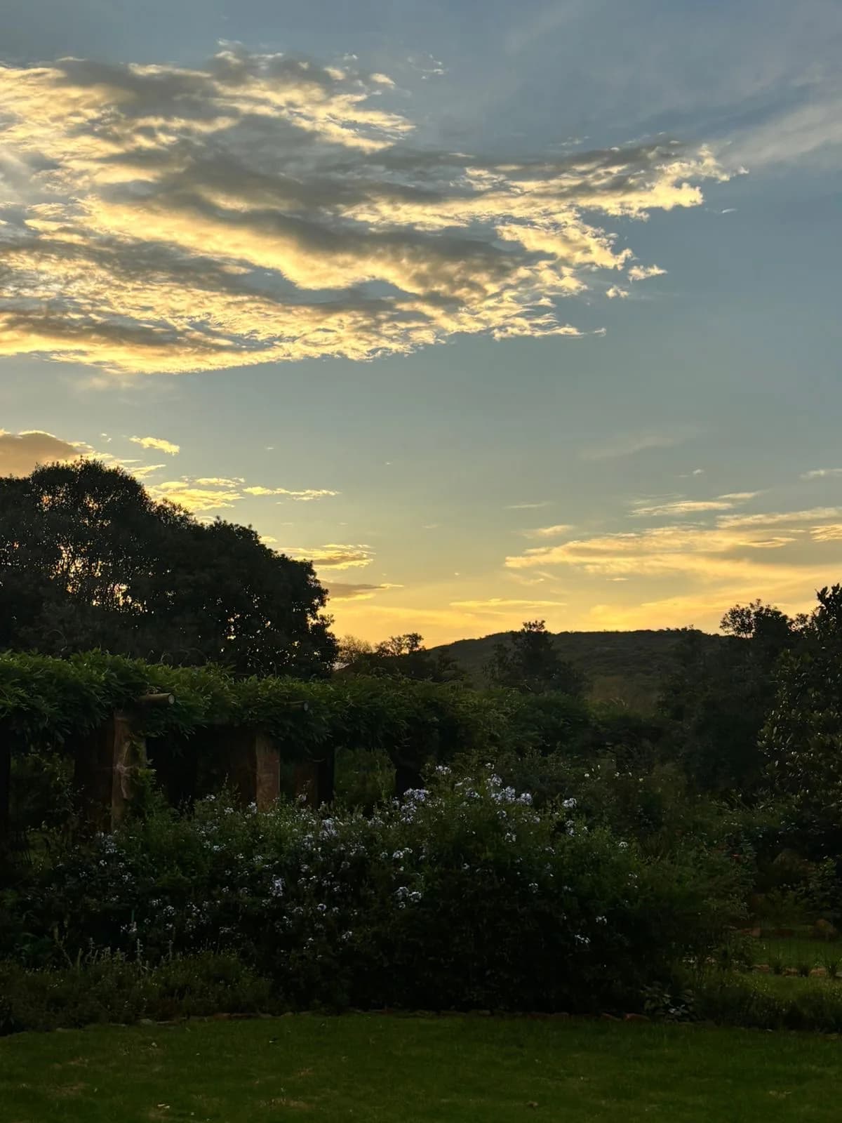 Evening sky at Oude Doornbosch